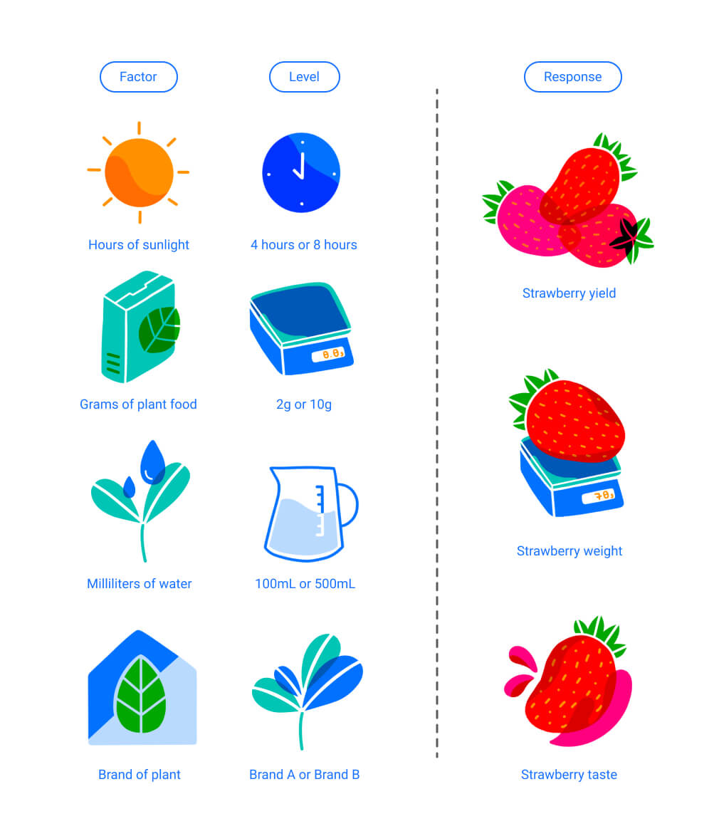 design of experiments (DOE) using strawberries as an example. Responses being measured are strawberry yield, strawberry weight, and strawberry taste. Factors considered include sunlight (4 hours or 8 hours), grams of plant food (2g or 10g), amount of water (100mL or 500 mL), and brand of plant (brand a or brand b).