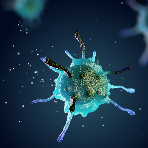 Automating your Cell Therapy QC assays Synthace